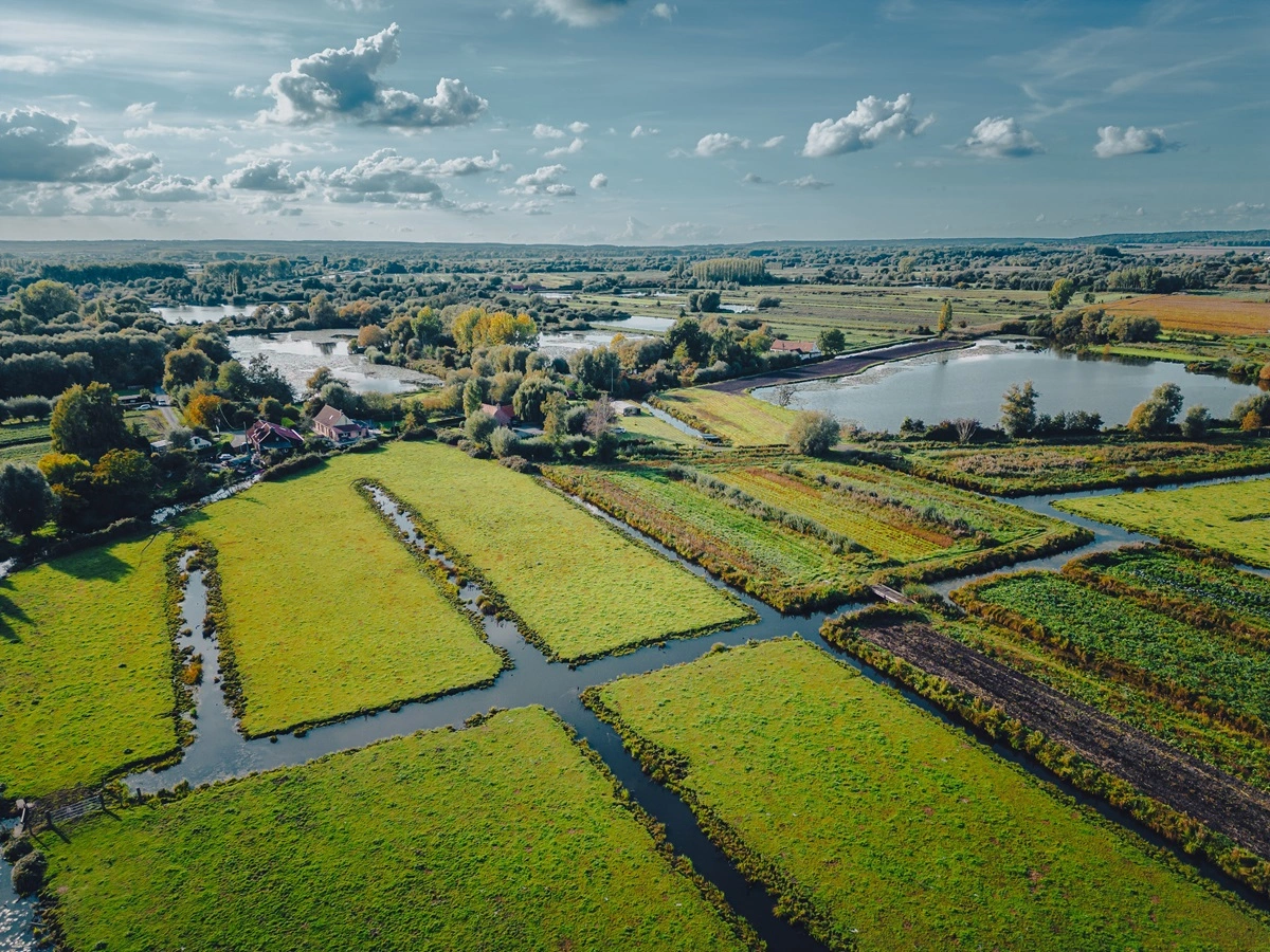 cours d'eau entouré de végétation