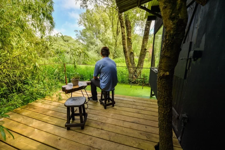 un homme en chemise bleu assis sur un tabouret conteplant la nature luxuriante