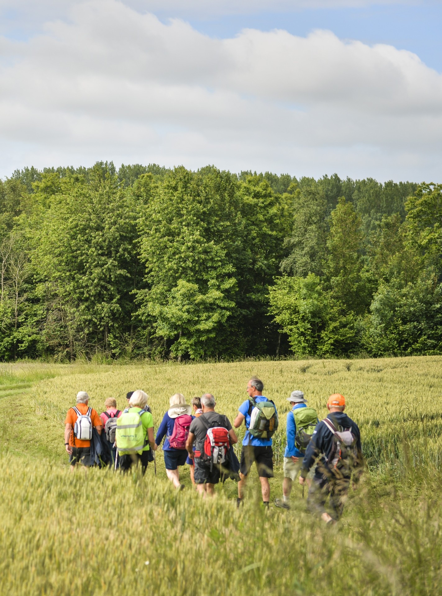 randonnee-sortie-nature