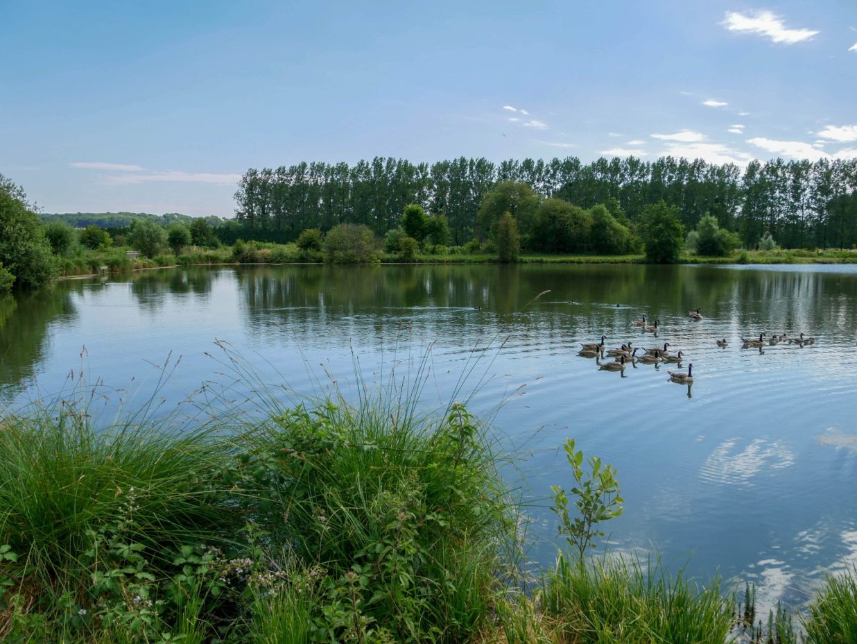 Marais de Contes