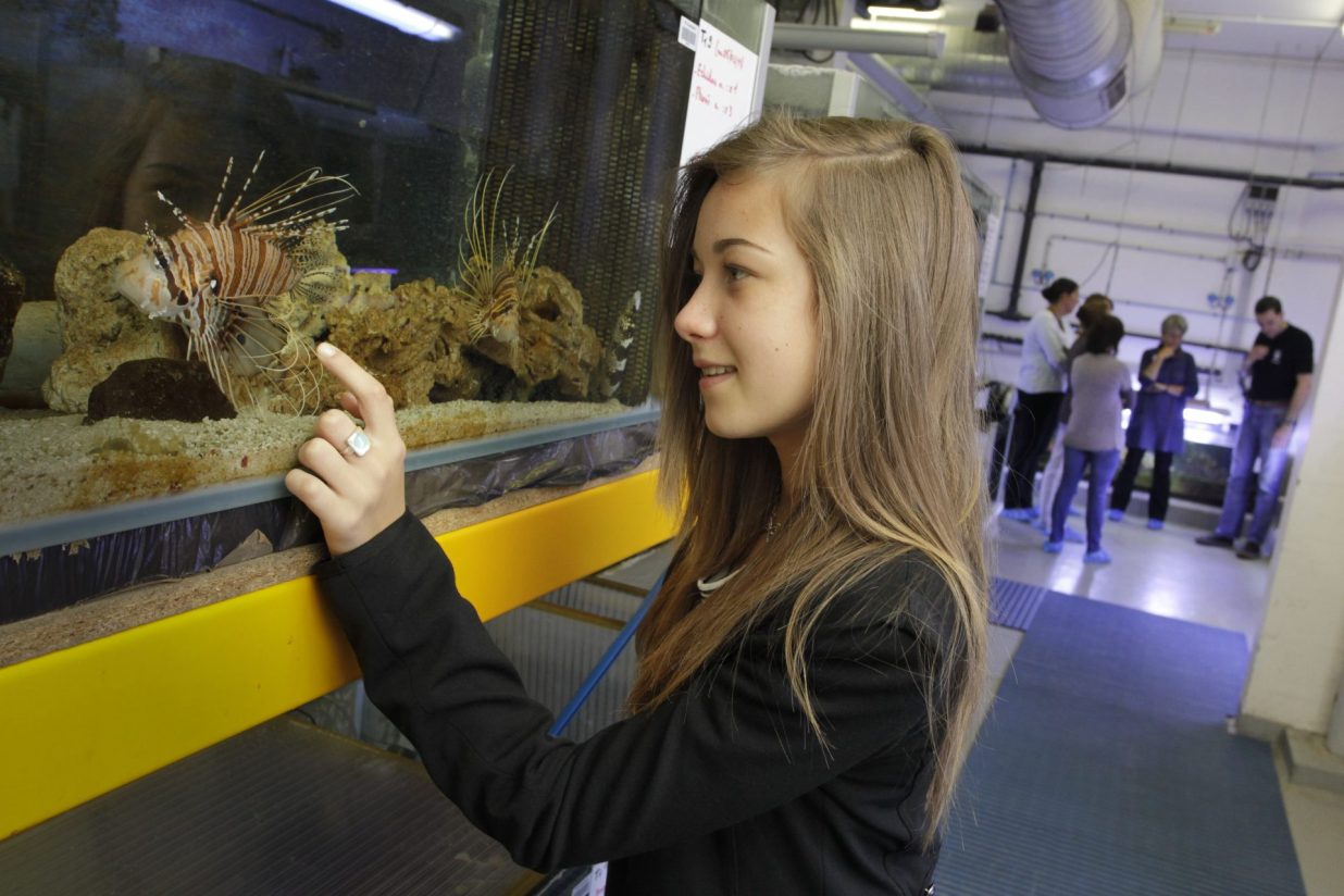 Nausicaa-aquarium-centre national mer-enfant-blue academy