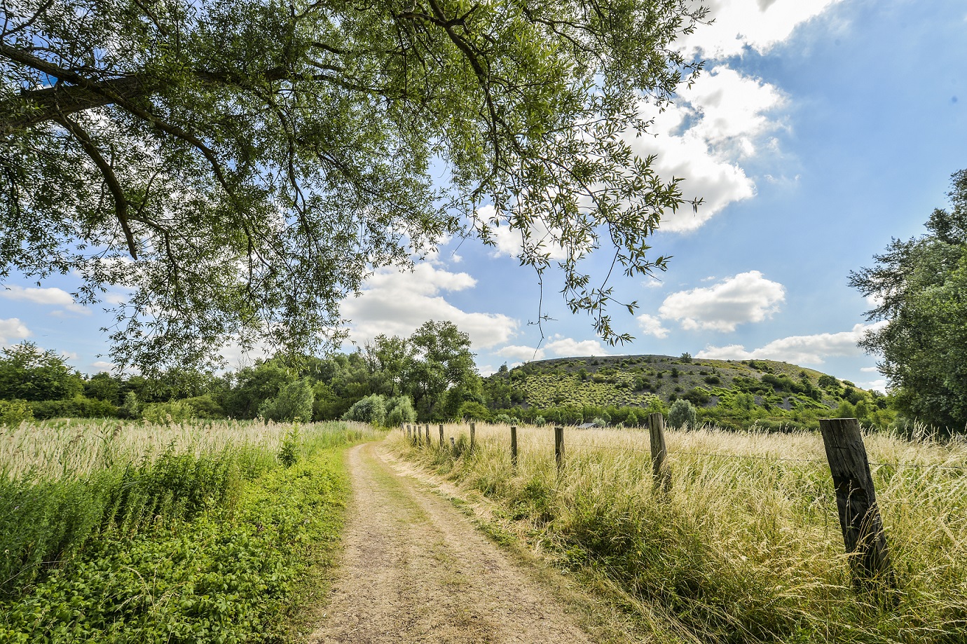 Noyelles sous Lens Terril