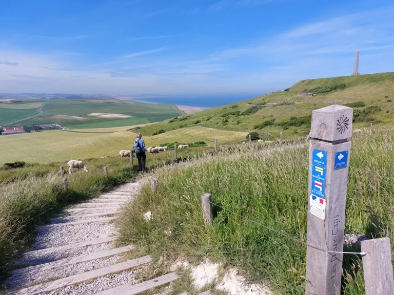 Personne debout sur un sentier dans un paysage herbeux avec des moutons, surplombant les champs et la mer au loin