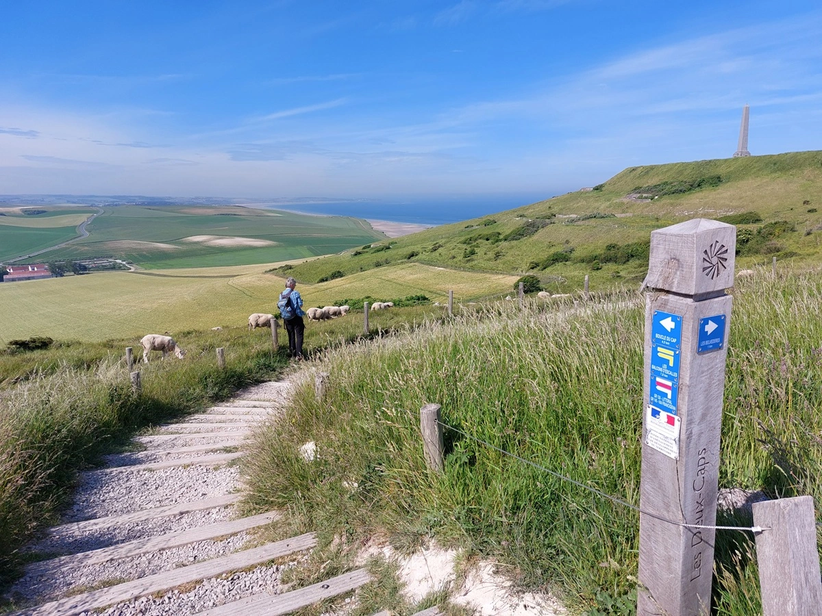 Personne debout sur un sentier dans un paysage herbeux avec des moutons, surplombant les champs et la mer au loin