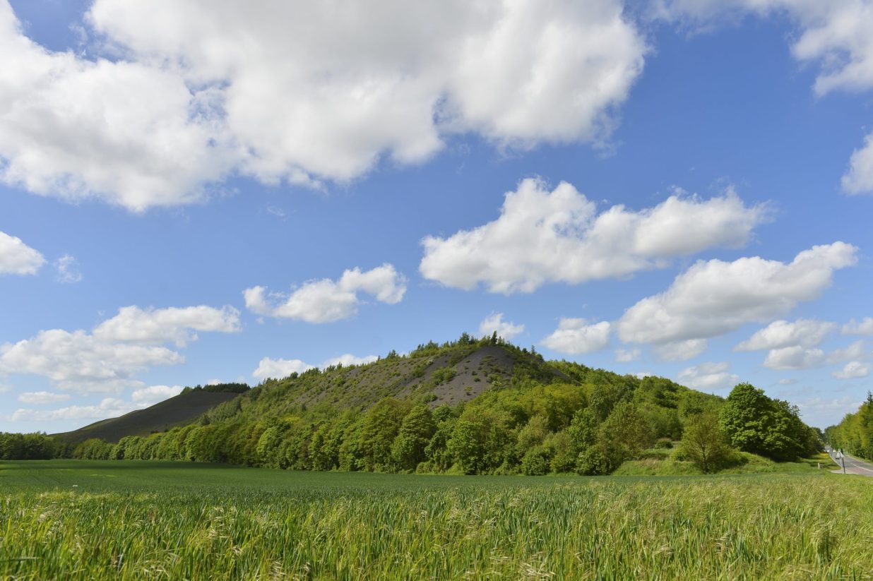 Terril Bully les Mines