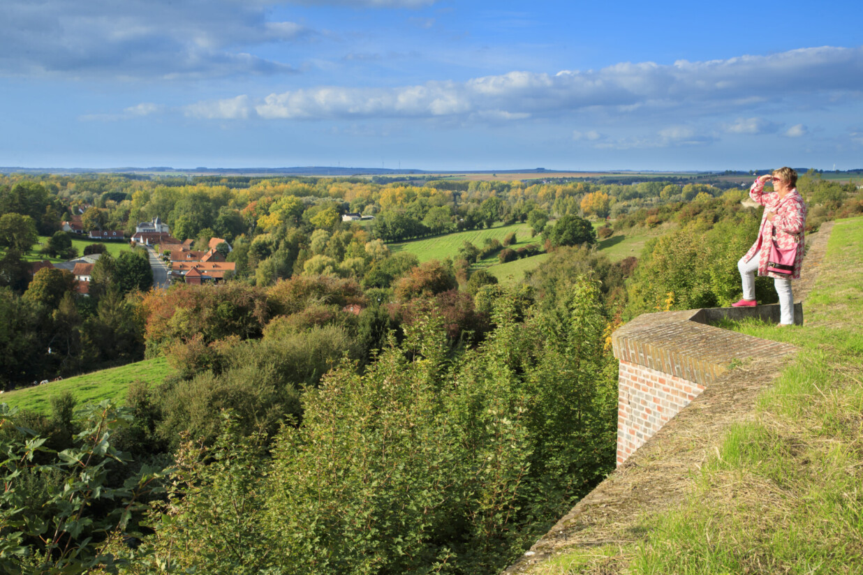 citadelle montreuil