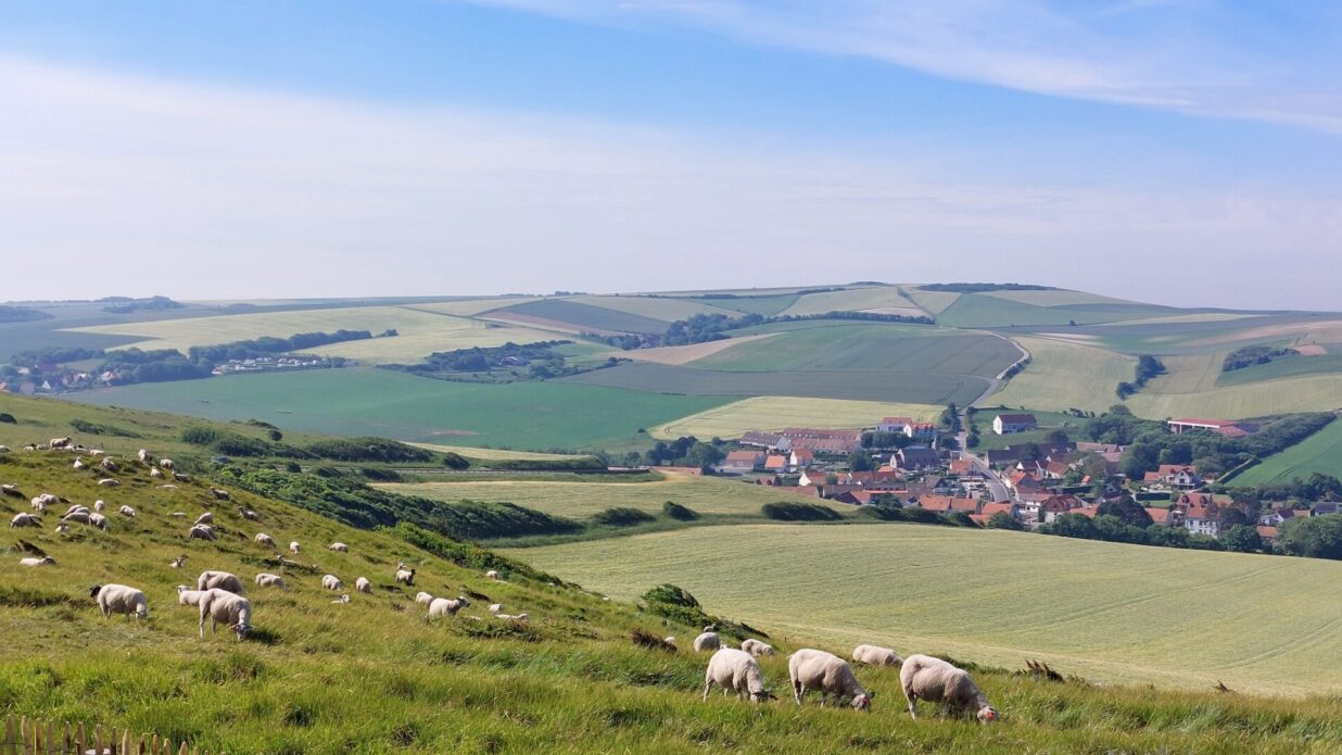 escalles cap blanc nez