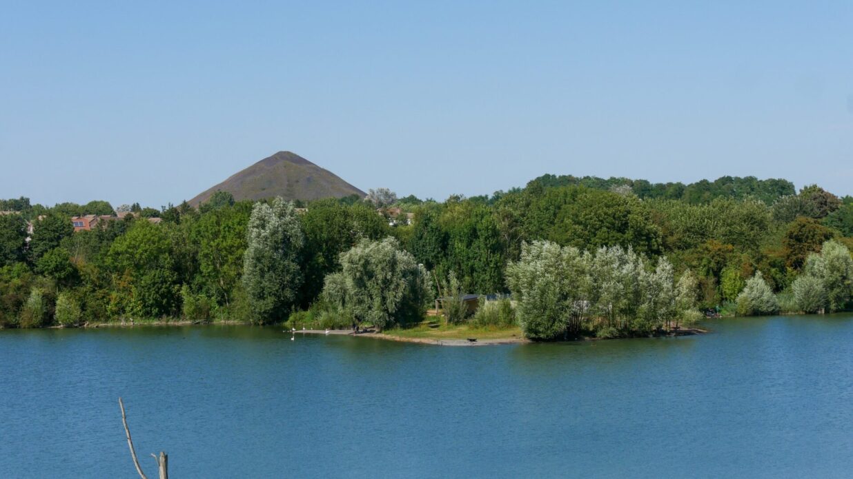 etang harnes peche