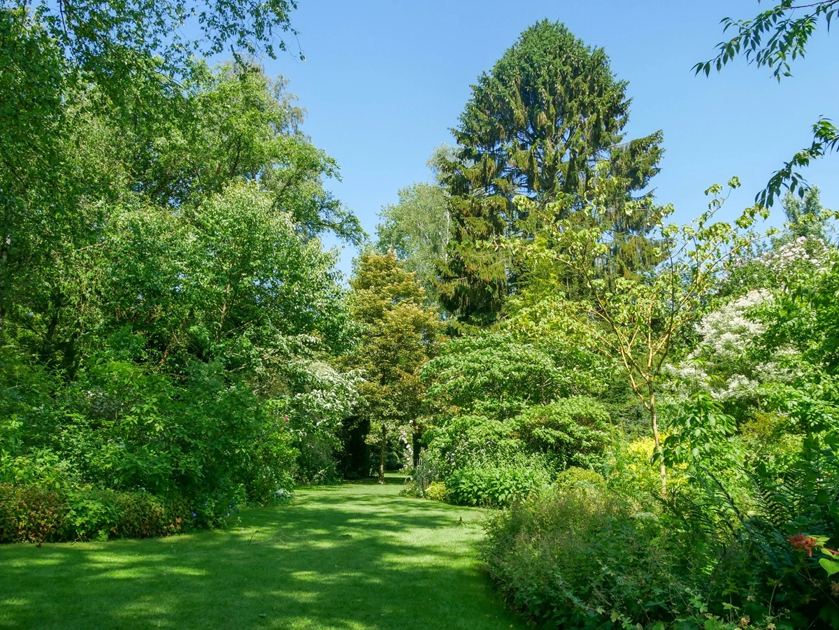 allée verdoyante et ombragée bordée d'arbres variés aux Jardins de Séricourt