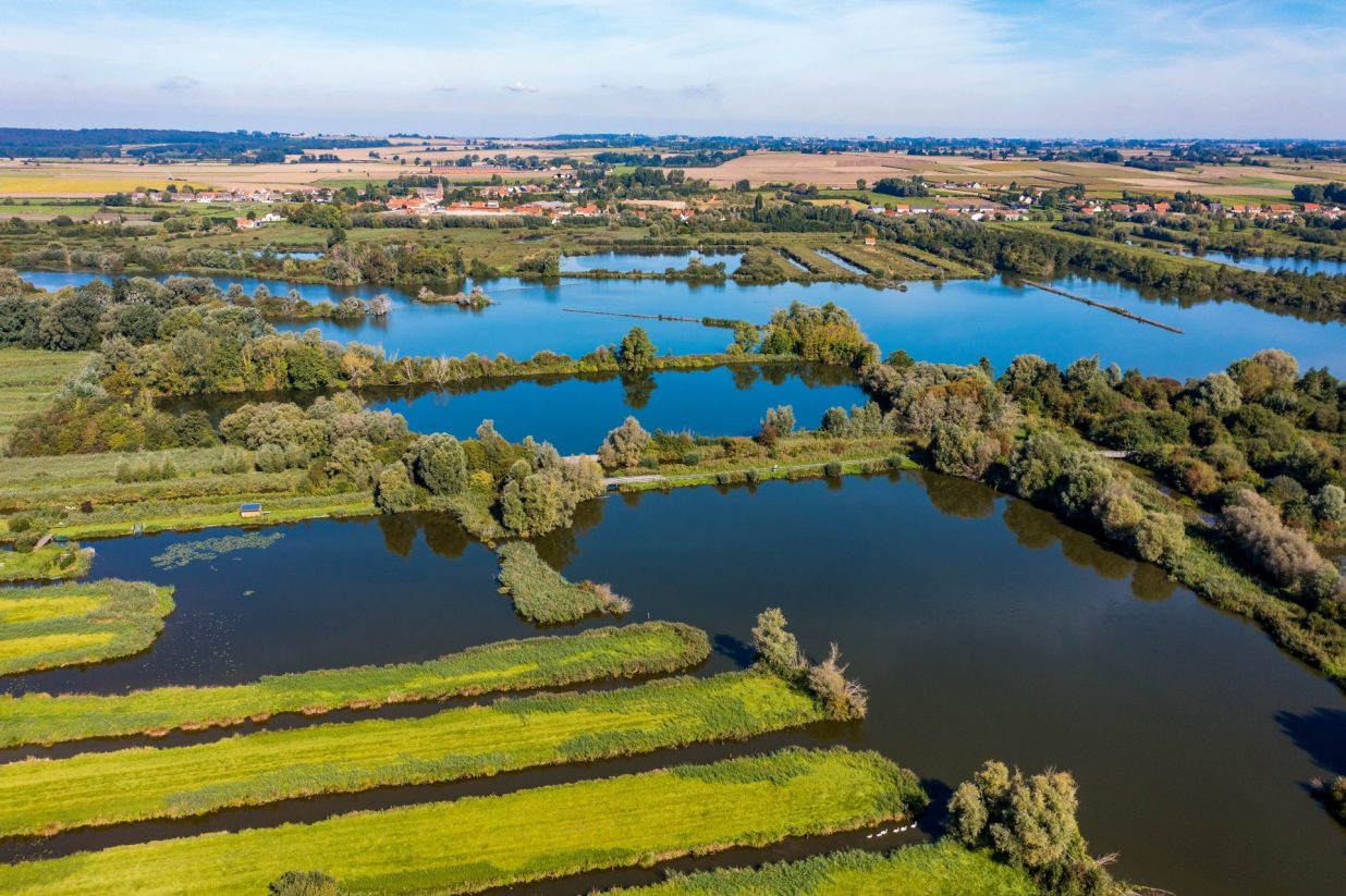 marais audomarois