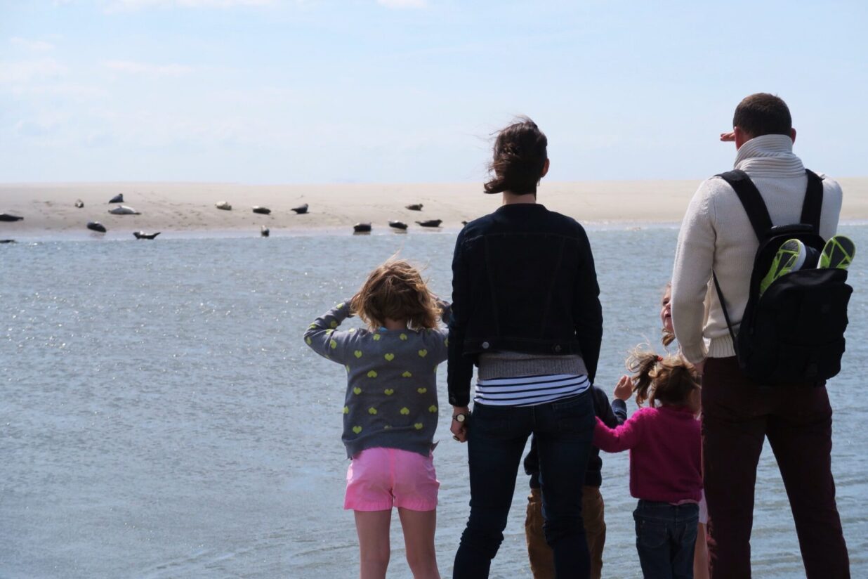 observer les phoques à berck en famille